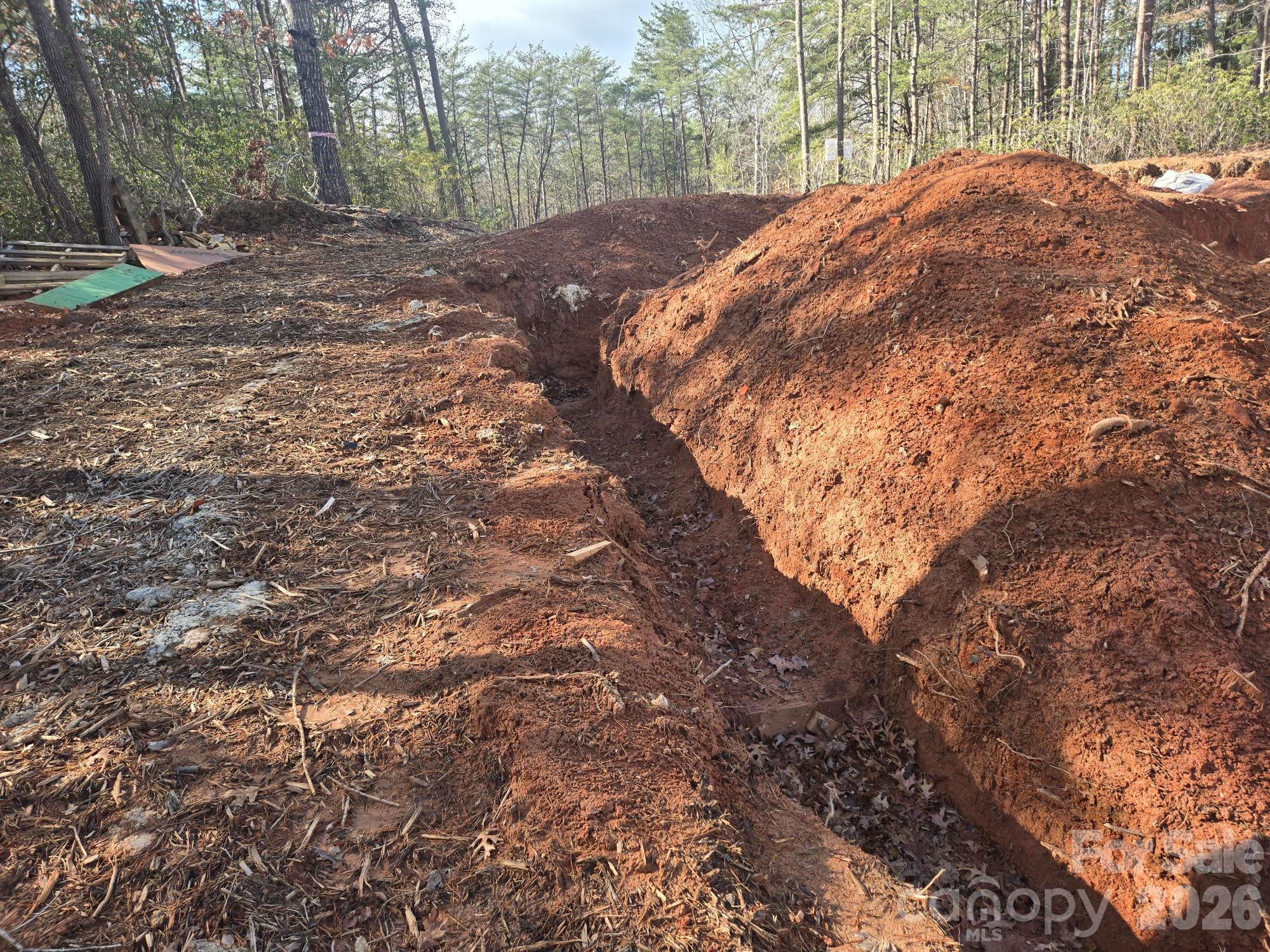Rumbling Bald on Lake Lure - Land