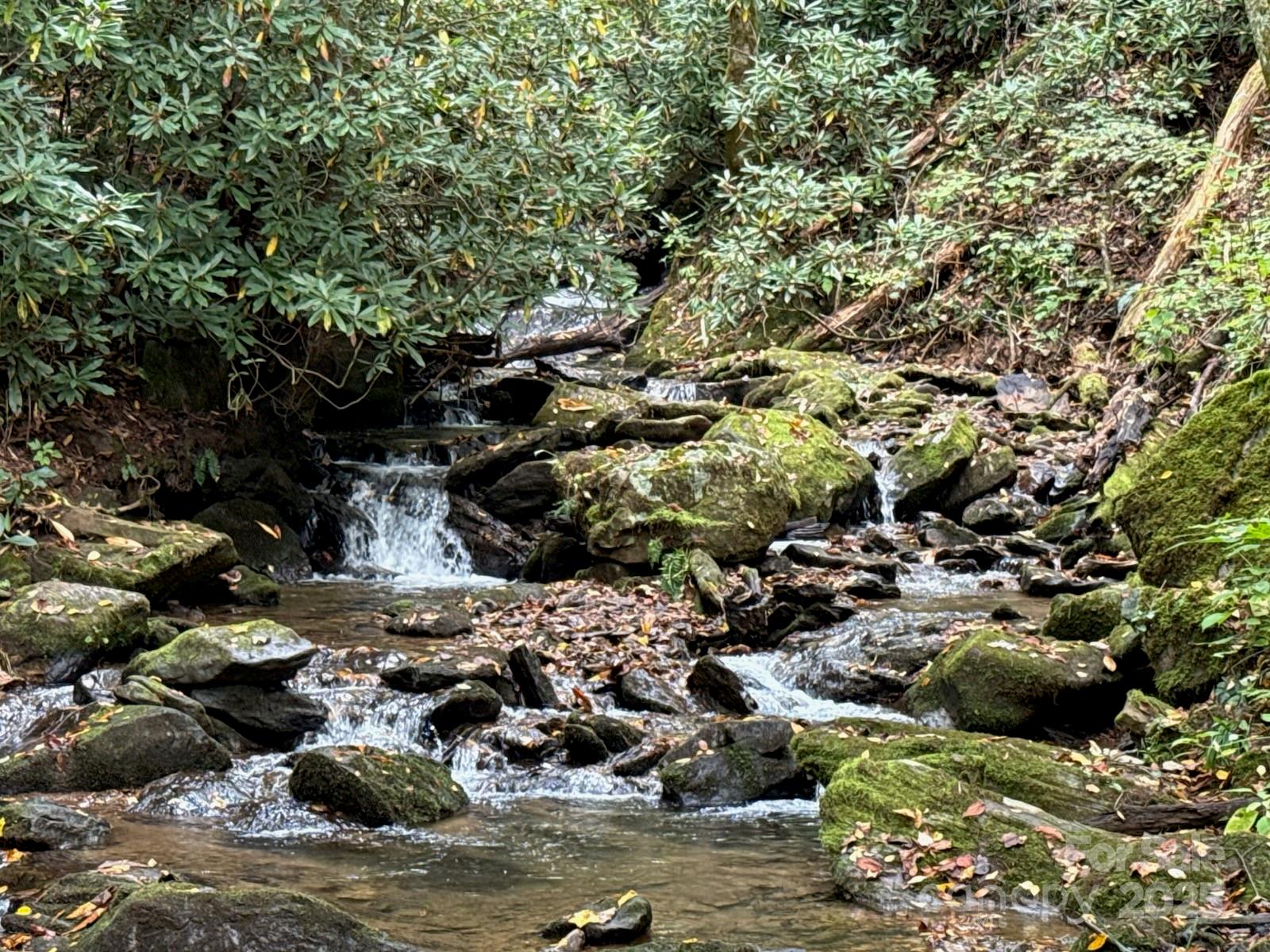 226 Wildcat Mountain Trail