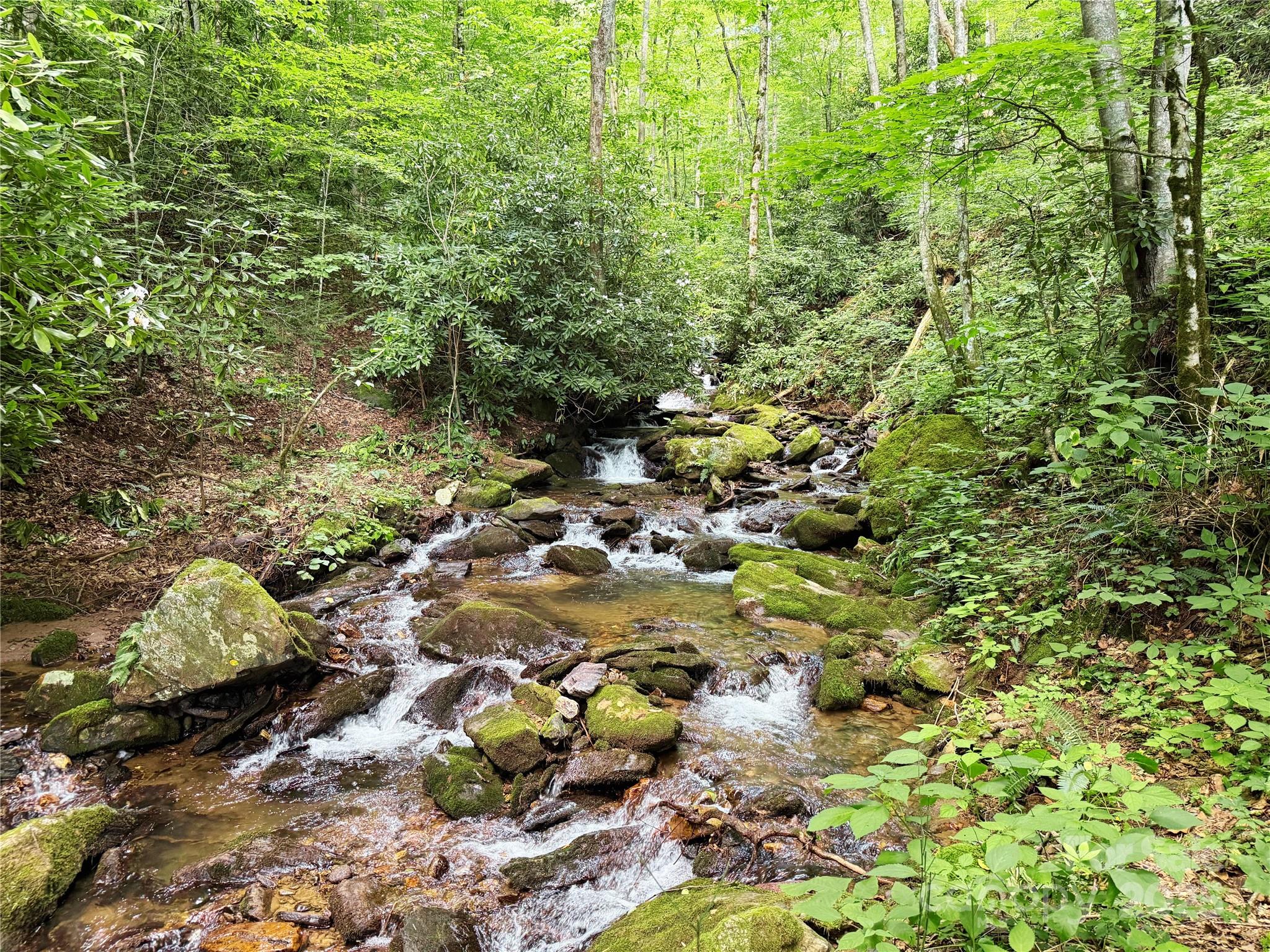 226 Wildcat Mountain Trail