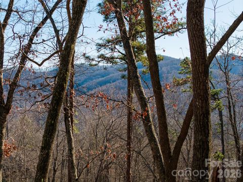 92 Smokey Ridge Trail Arden NC 28704