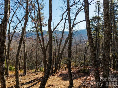 92 Smokey Ridge Trail Arden NC 28704