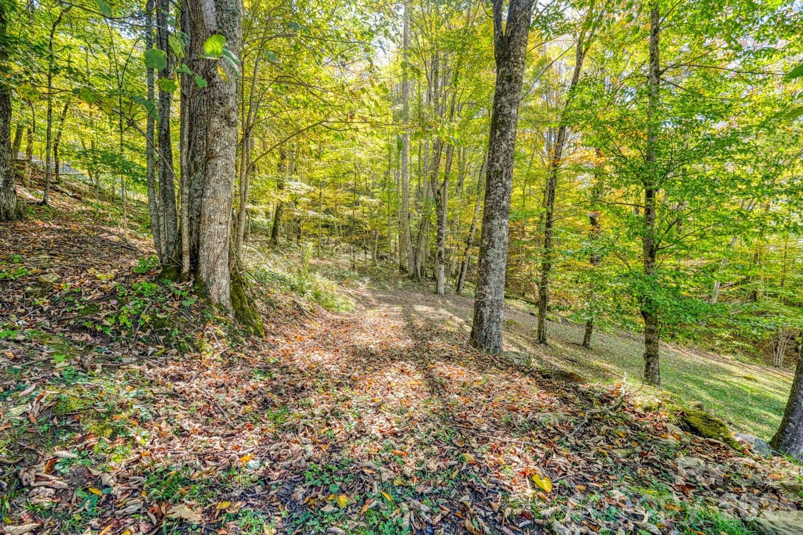 Wolf Laurel - Residential