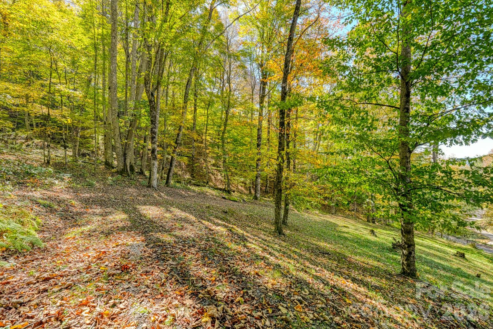 Wolf Laurel - Residential