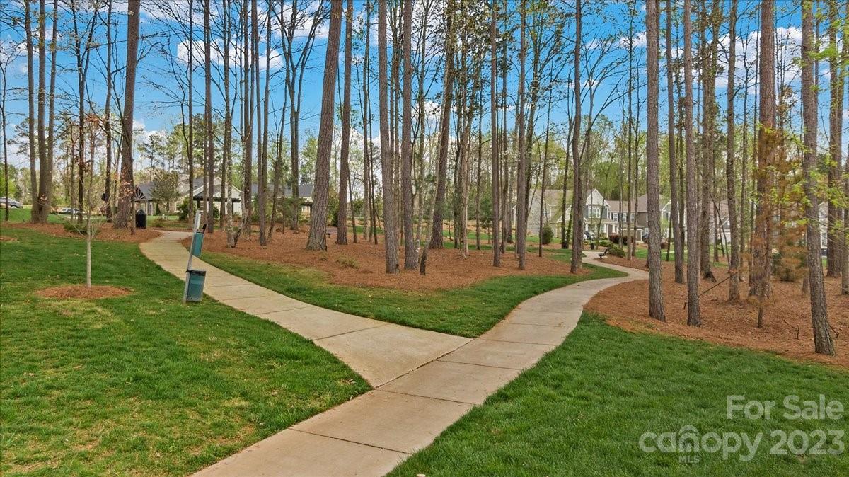 The Village At Ivy Ridge - Residential