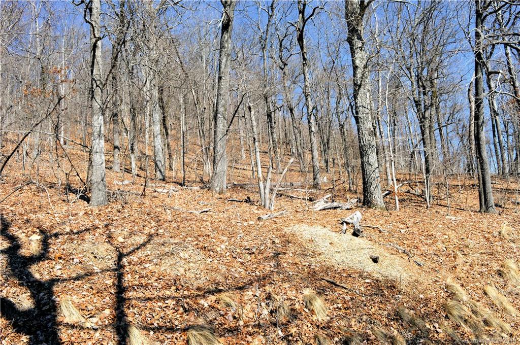 White Oak Mountain - Land