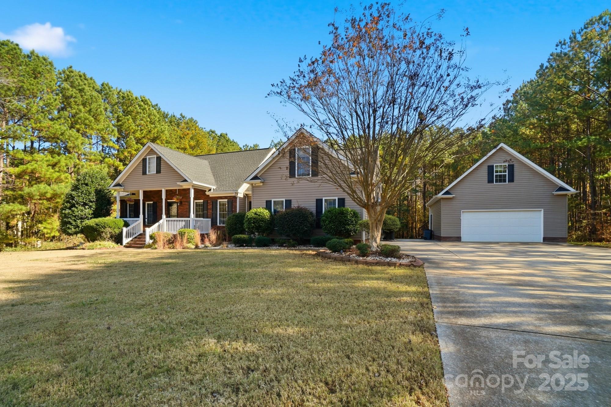 Wild Pine - Residential