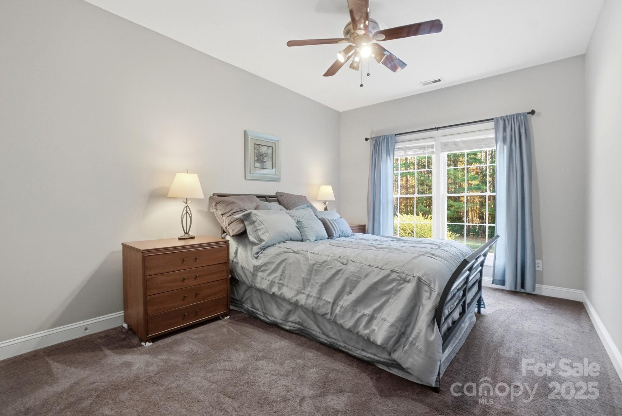 Wild Pine - Residential