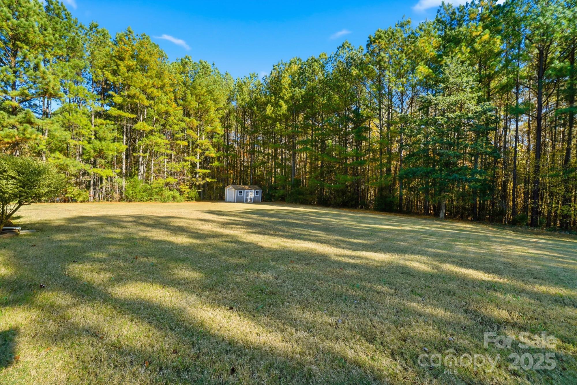 Wild Pine - Residential