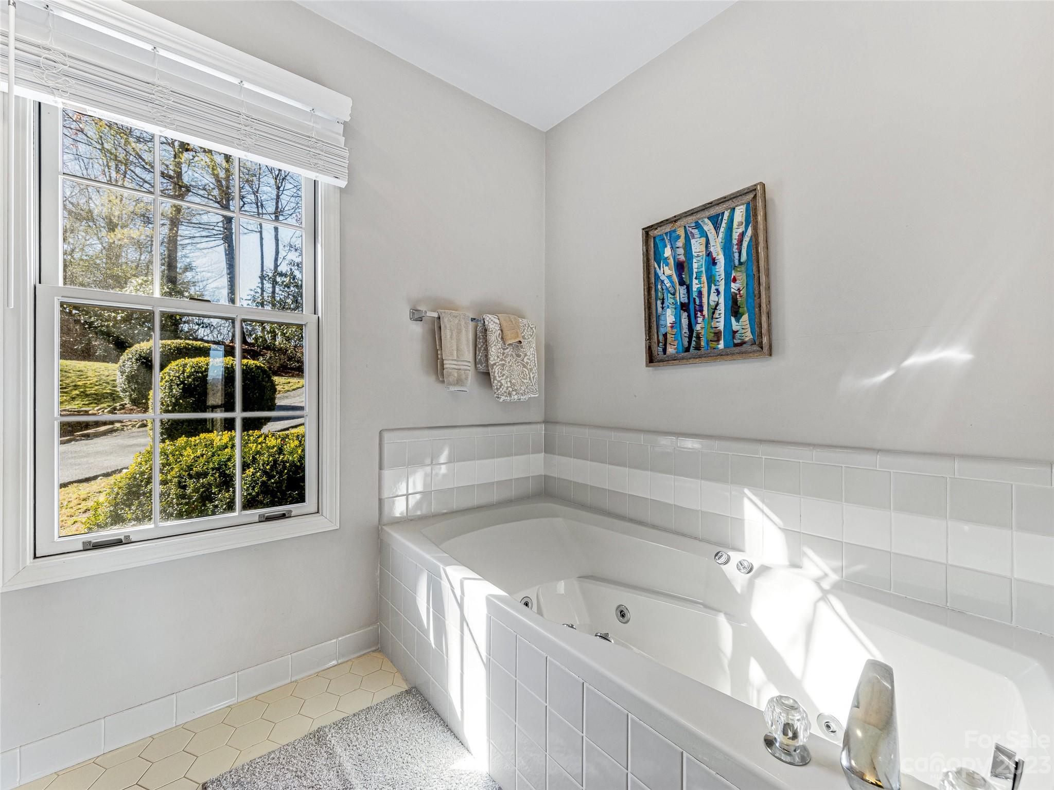 Lake Toxaway Estates - Residential