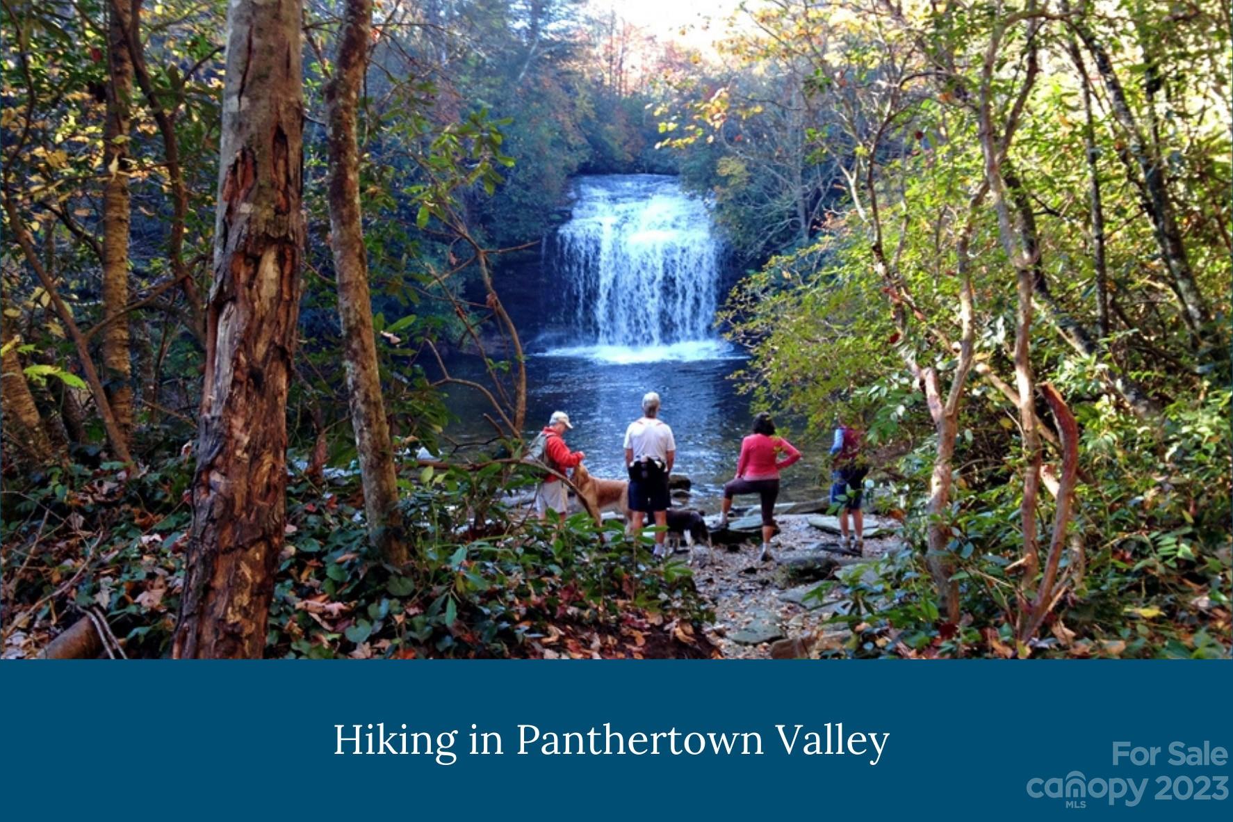 Lake Toxaway Estates - Residential