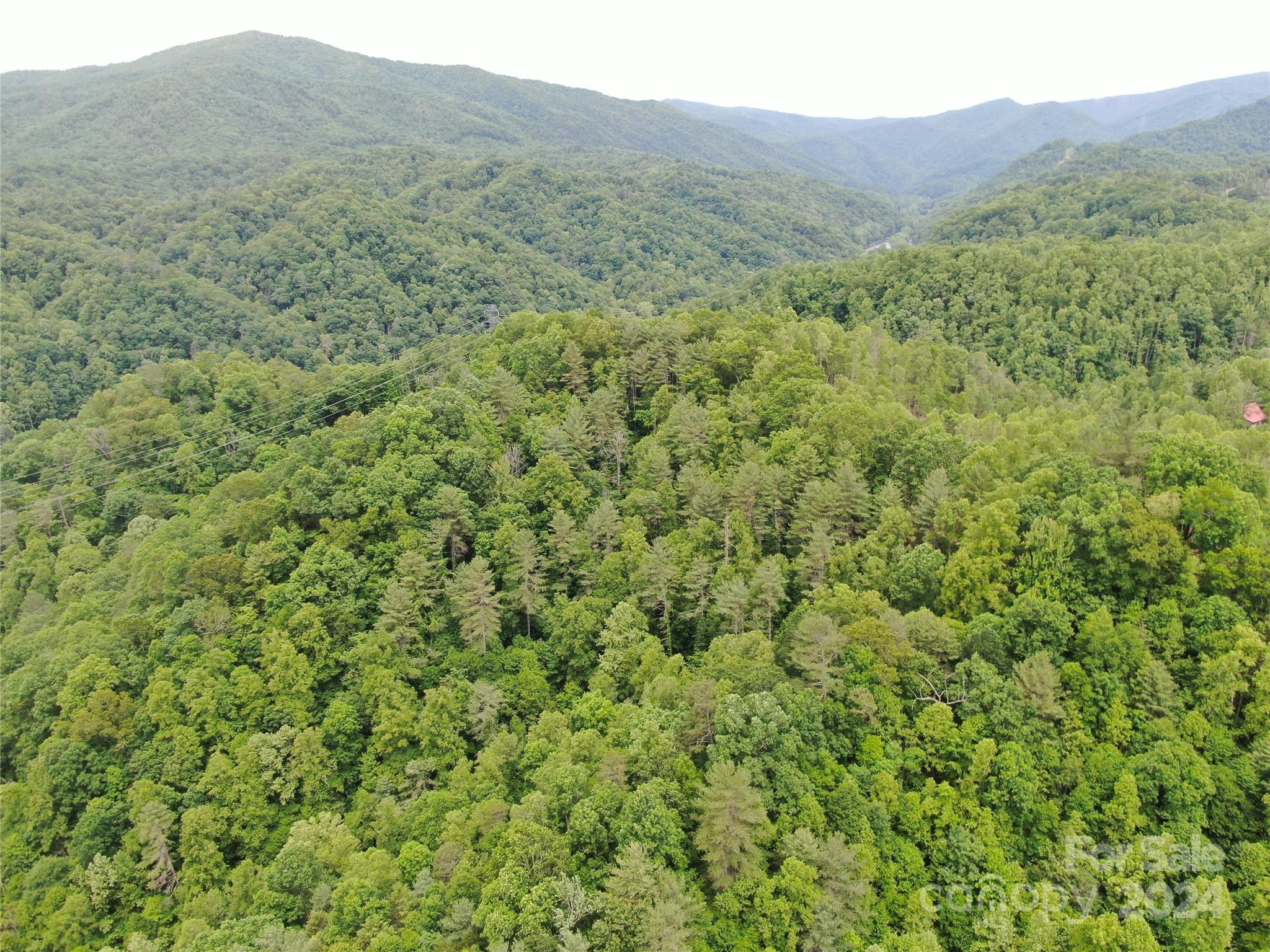 00000 Sams Branch Road