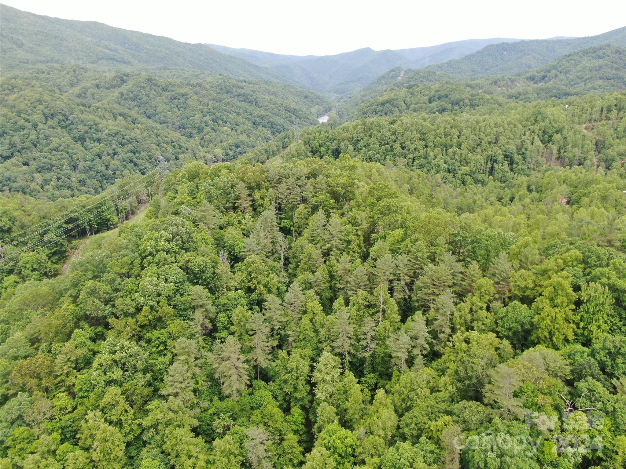 00000 Sams Branch Road