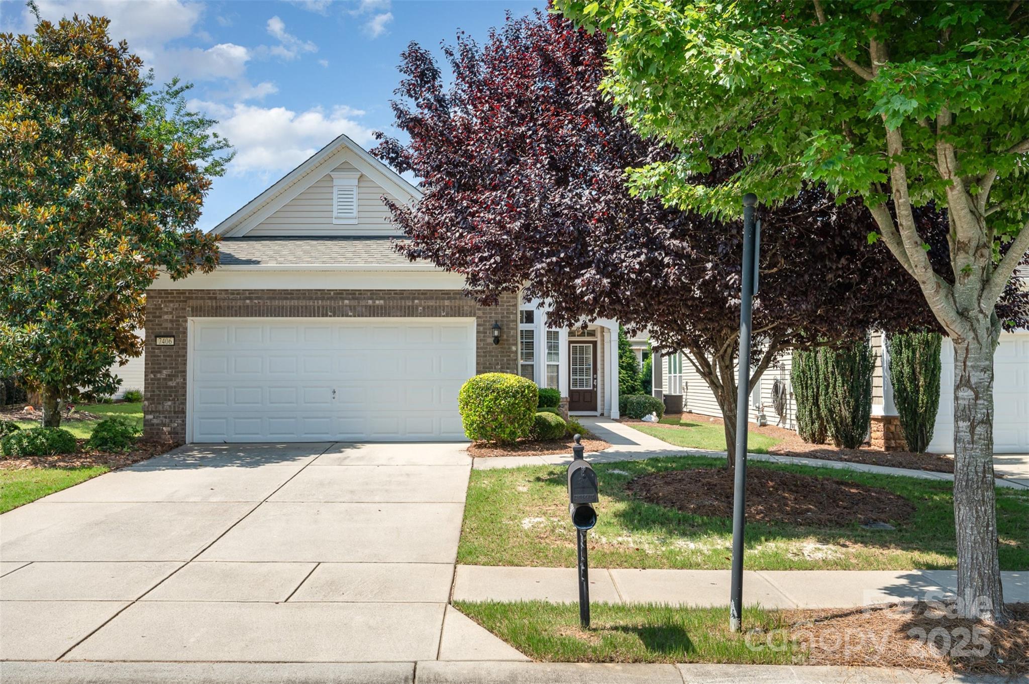 7406 Carolina Jessamine Court