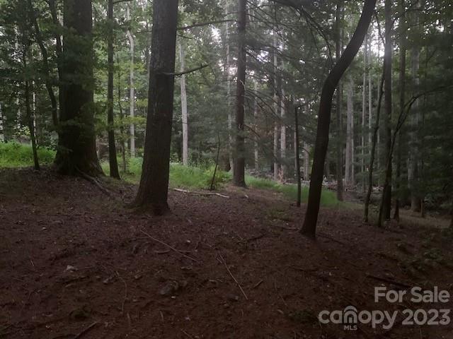(0.86ac) LAKEMONT Drive