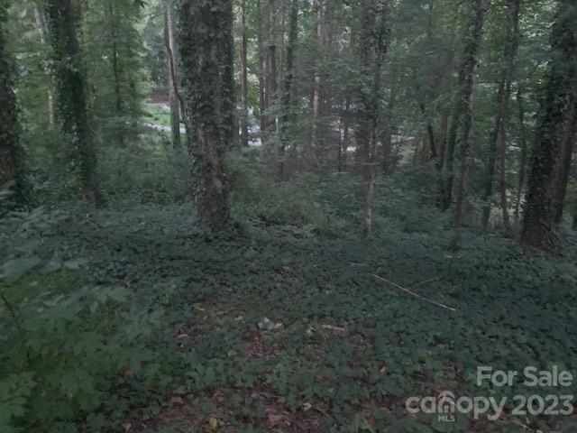(0.86ac) LAKEMONT Drive