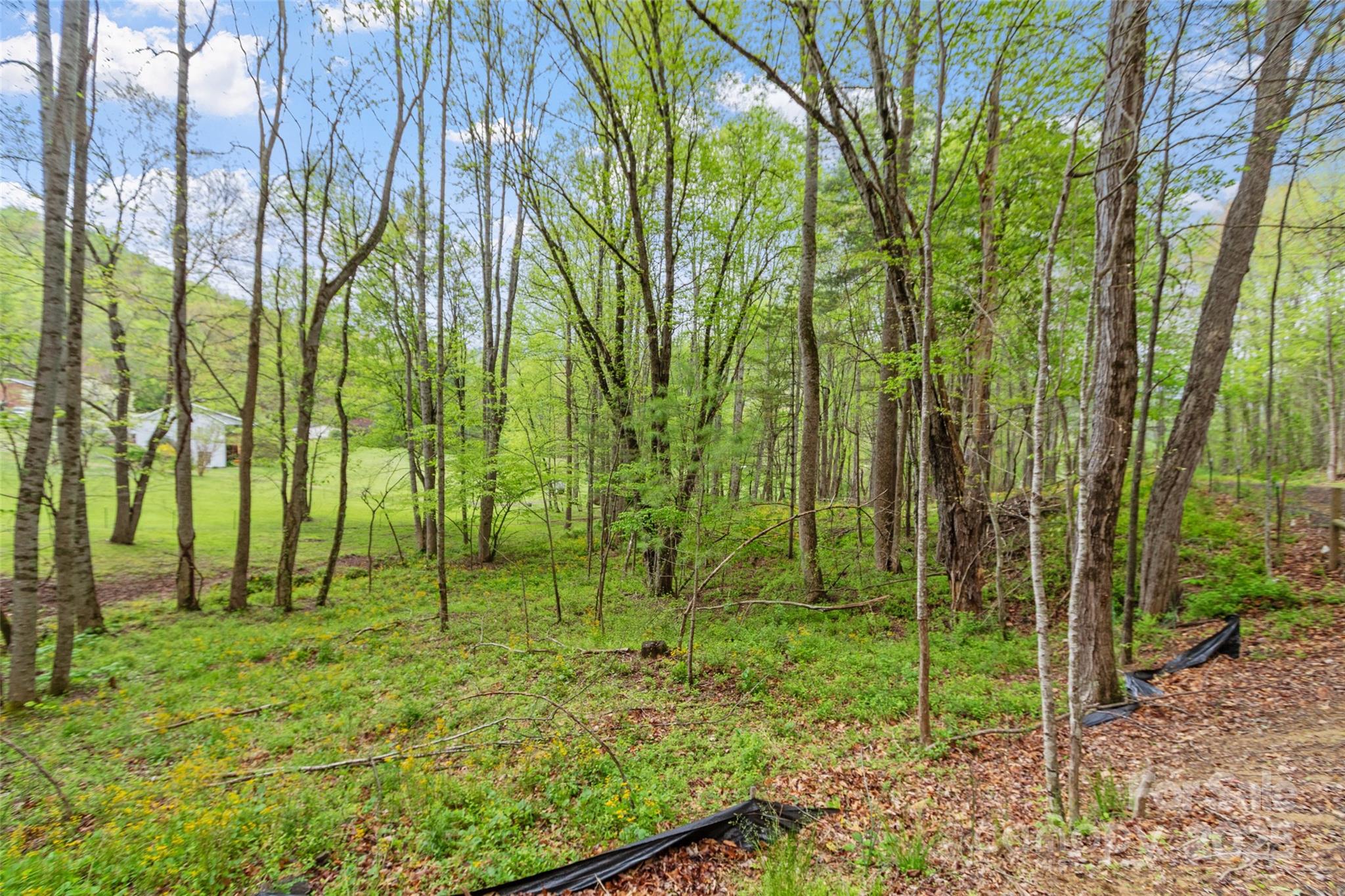 220 Pinewood Drive