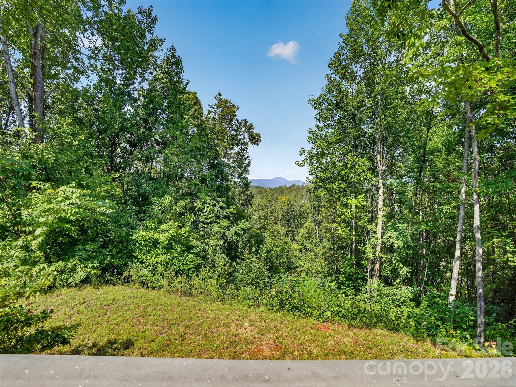484 Briar Patch Lane