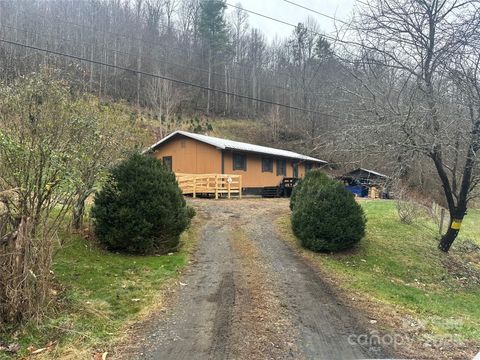 321 Raccoon Branch Road Green Mountain NC 28740