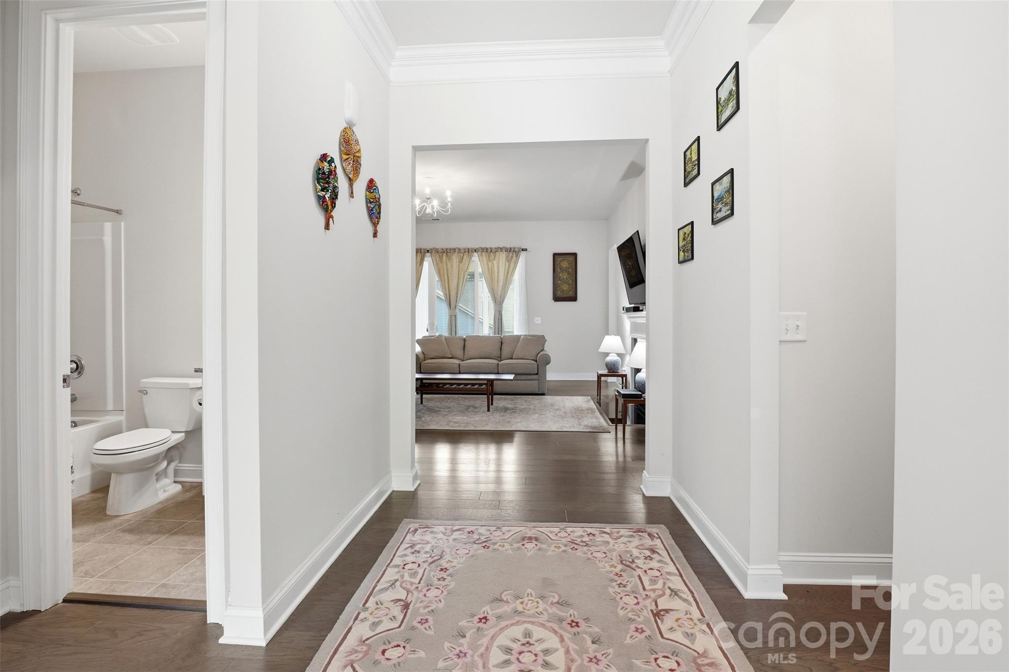 Imagery on Mtn Island - Residential