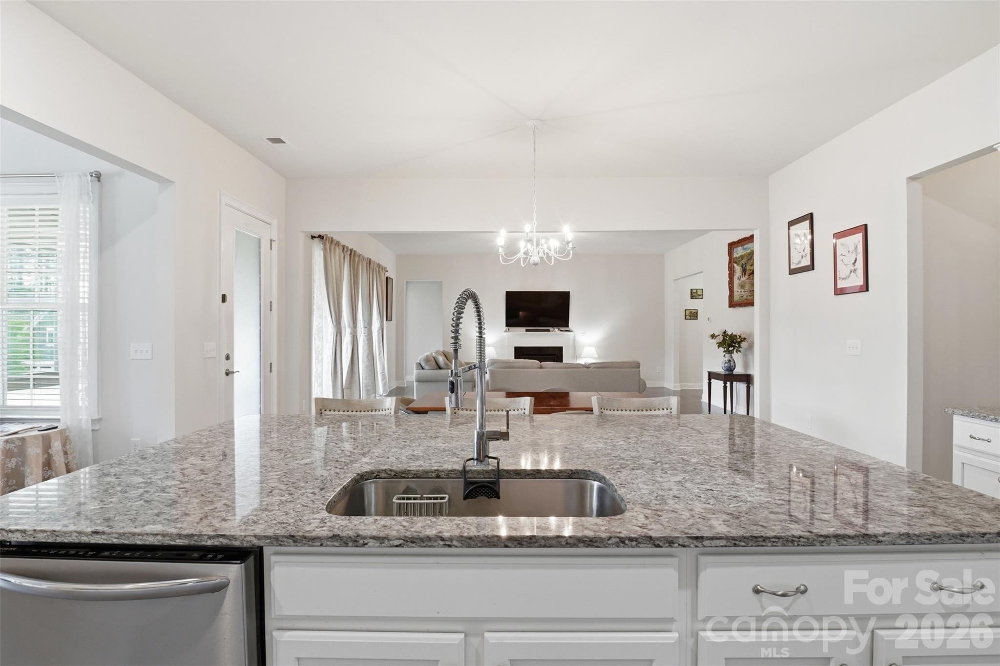 Imagery on Mtn Island - Residential