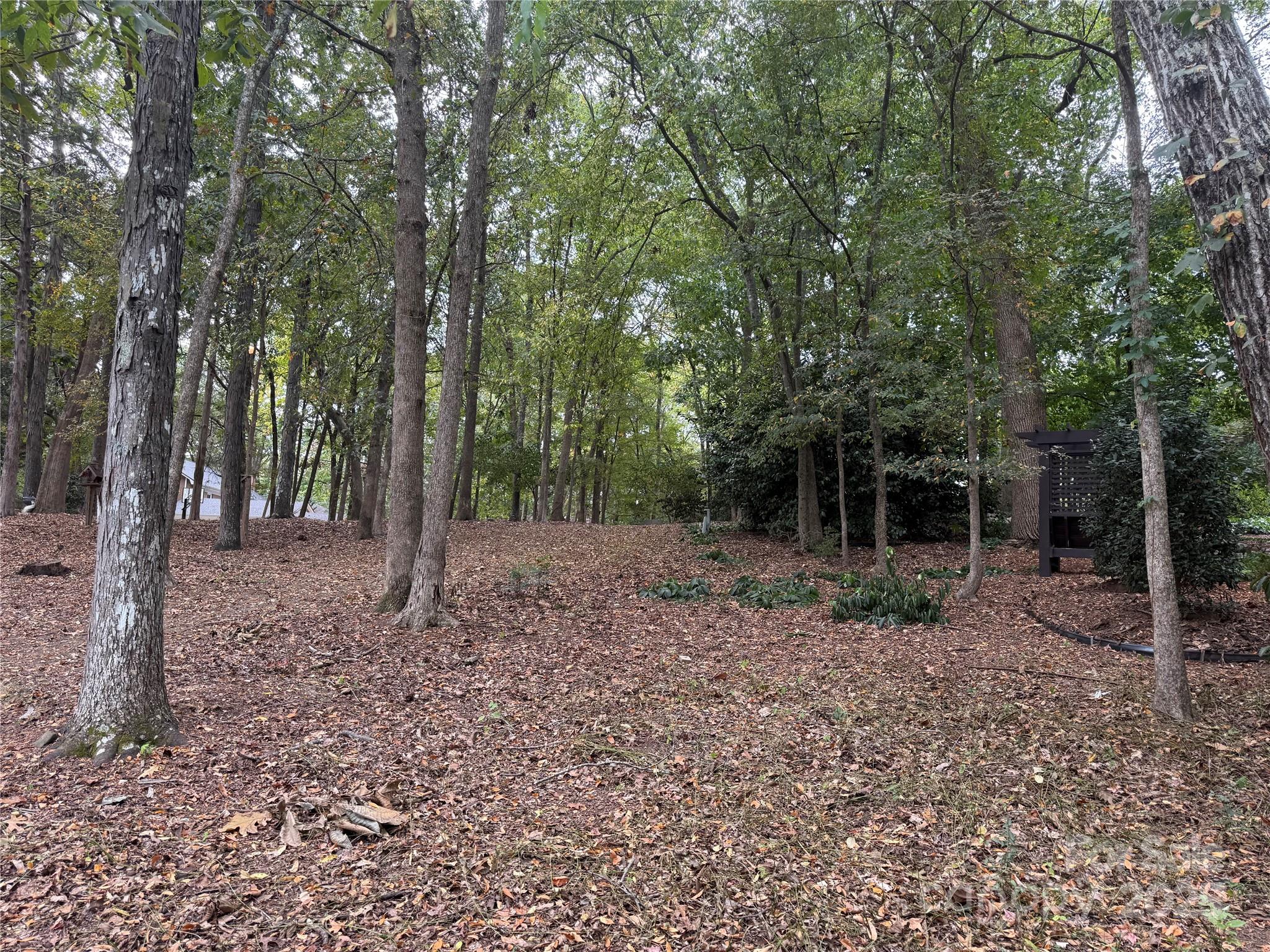 3518 Broadfield Road