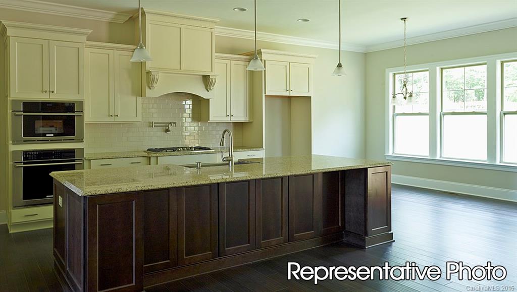 The Manors at Lake Ridge - Residential