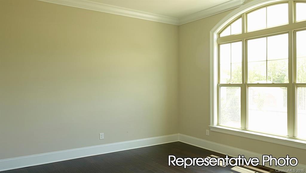 The Manors at Lake Ridge - Residential