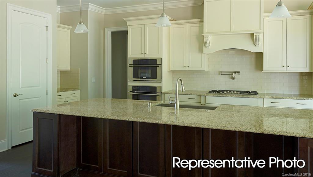 The Manors at Lake Ridge - Residential