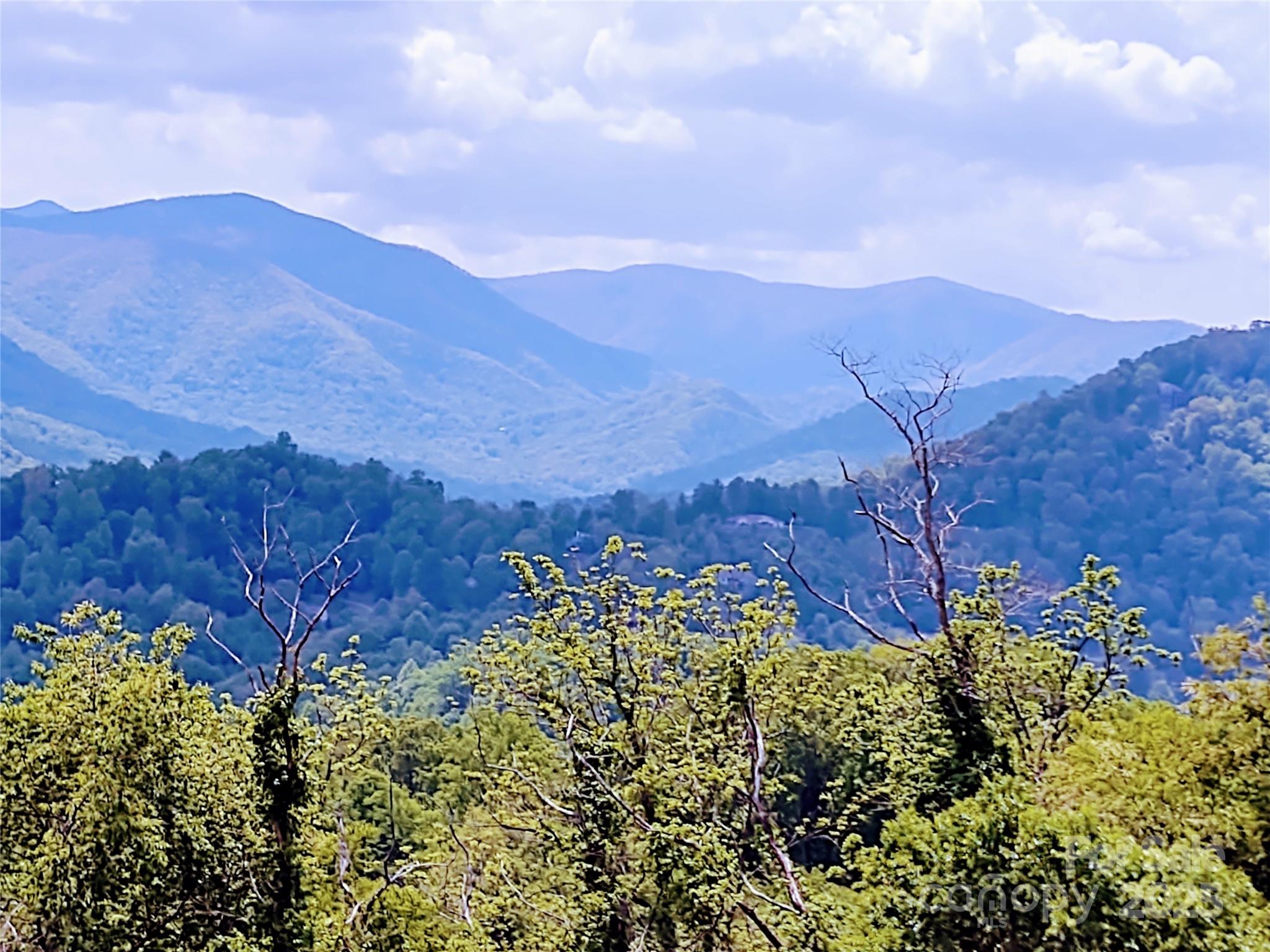 The Preserve At Jonathan Creek - Land