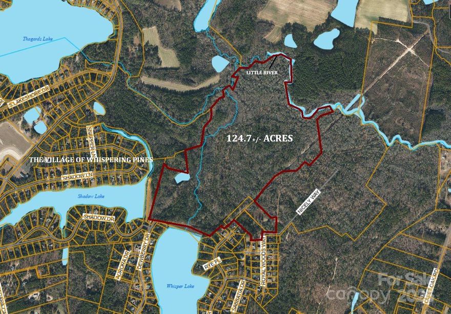 RARE LARGE ACREAGE INVESTMENT OPPORTUNITY ADJACENT TO THE VILLAGE OF WHISPERING PINES!  124+/- ACRES ON THE LITTLE RIVER.  DIVIDE THIS PROPERTY INTO 10-ACRE EQUESTRIAN PARCELS OR DEVELOP THE PROPERTY INTO YOUR PRIVATE EQUESTRIAN ESTATE ON THE RIVER.  This property is in the Extraterritorial Jurisdiction (ETJ) of The Village of Whispering Pines and could potentially be annexed into the village if the the buyers use of the property is mutually beneficial.  This would allow access to the lakes, parks, police department, fire, trash services, and many more amenities.  Sandy soils should make this property ideal for development and equestrian uses.   Smaller parcels are subject to some easements for septic or utilities.
Additional parcels adjacent. Please see MLS #4264578.