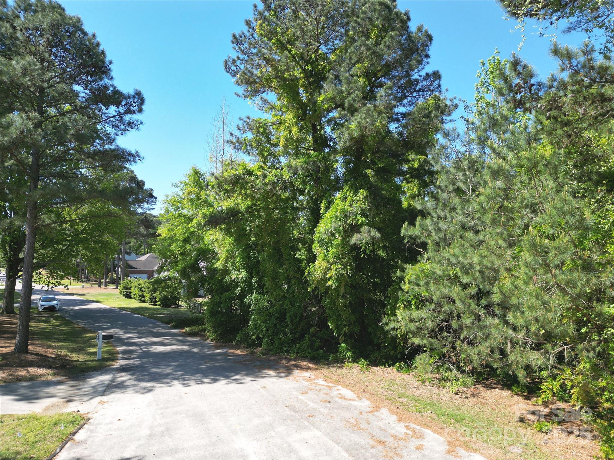 TBD Goldenrod Drive