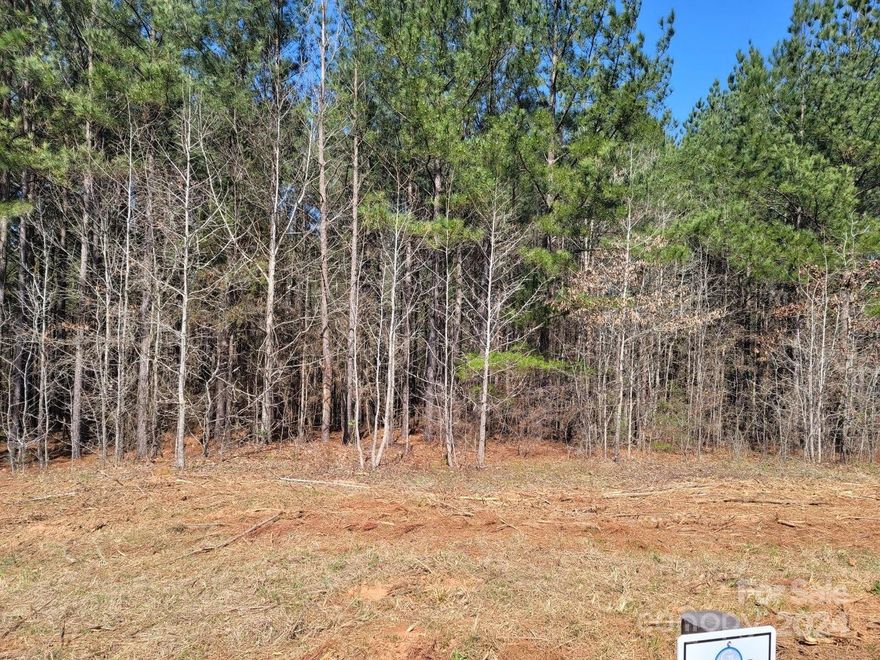 BEAUTIFUL LAKE SECESSION CORNER LOT FOR NEW HOME,  GREAT WATERS SUBDIVISION LOT NO 47, WATER TAP AVAILABLE, THRU JACABB UTILITIES.