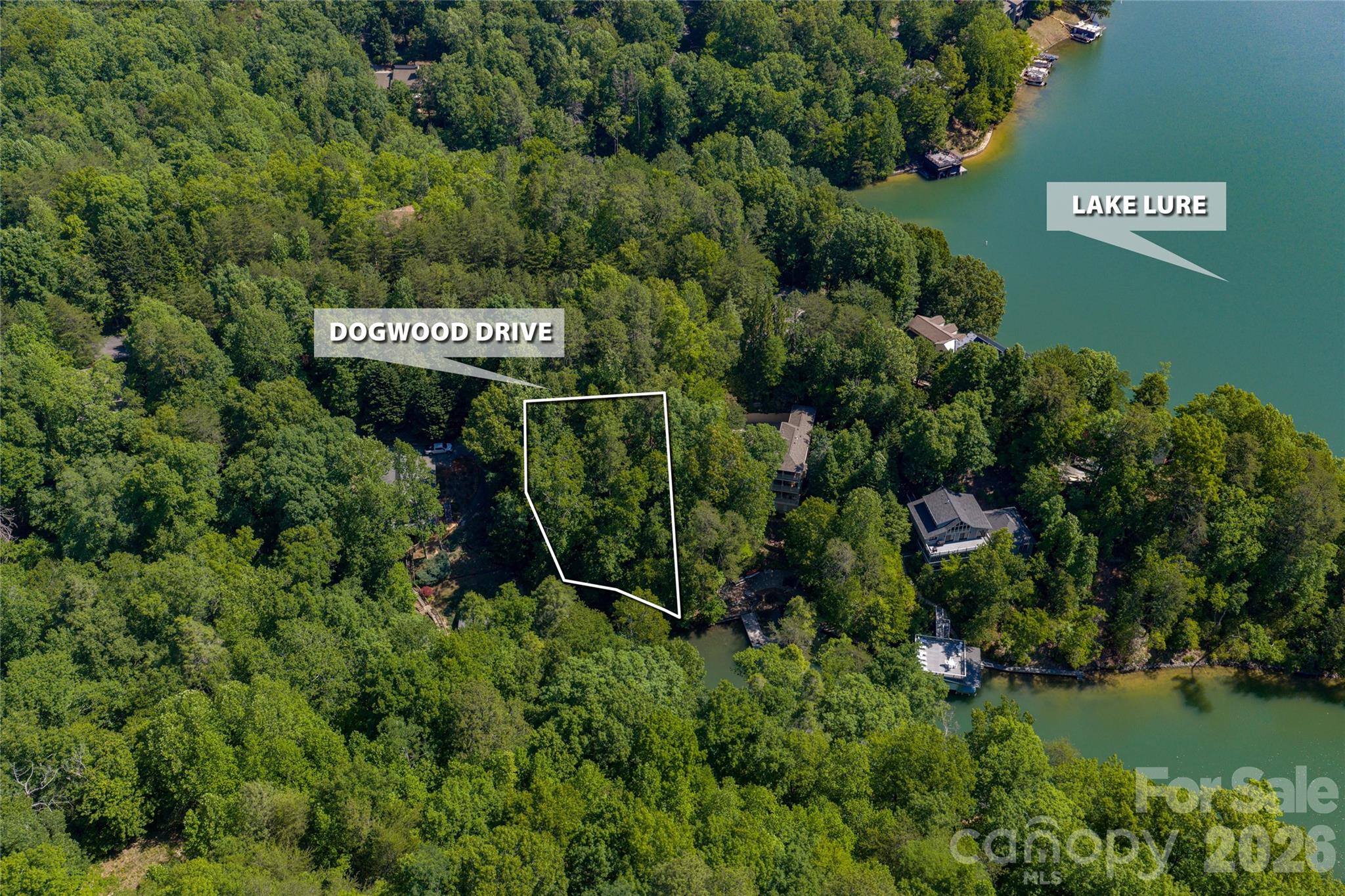 Rumbling Bald on Lake Lure - Land