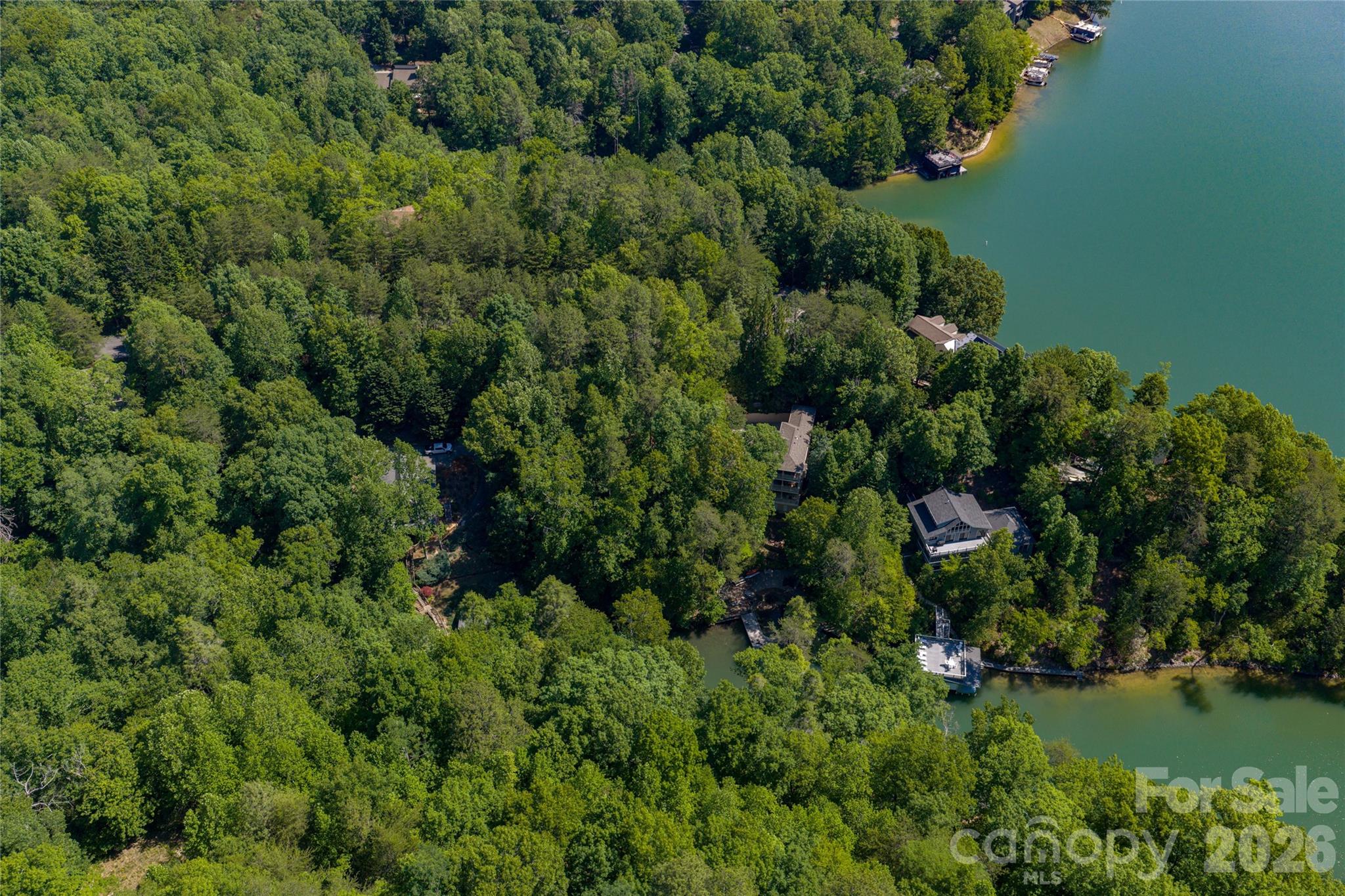 Rumbling Bald on Lake Lure - Land