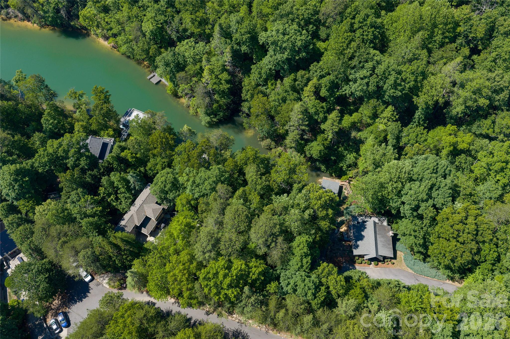 000 Dogwood Drive