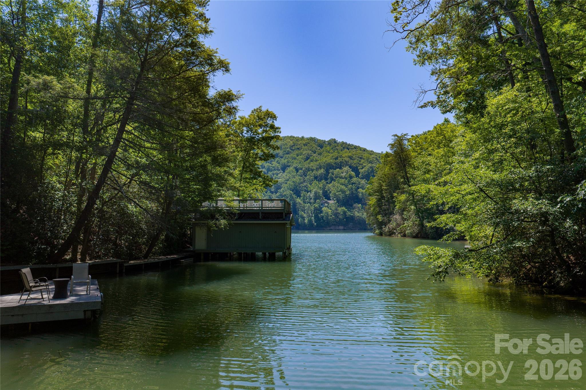 Rumbling Bald on Lake Lure - Land