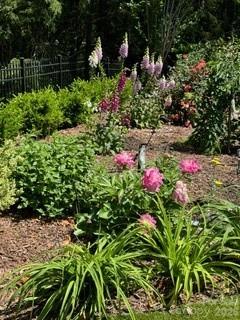 Highgate - Residential