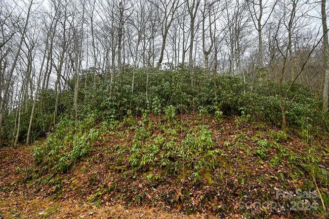 Winfield Estates - Land