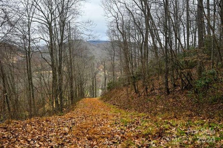 Ideal land for building a dream mountain home in the pastoral Crabtree community. A cleared, rough-in drive gently slopes to a graded house pad, replete with winter mountain views (or year round with just a couple of trees removed from your own land) and crowned by a thick forest of Rhododendron. Privacy abounds with three additional acres to improve, explore, or simply enjoy as part of your own quiet mountain oasis. This is a must see property! POST HELENE UPDATE: New Bridge is now complete, and completely paid for by current property owners. See Agent Remarks for current access details. Click Here for a drone video tour:  https://tours.maryyoungphotography.com/2295635?idx=1