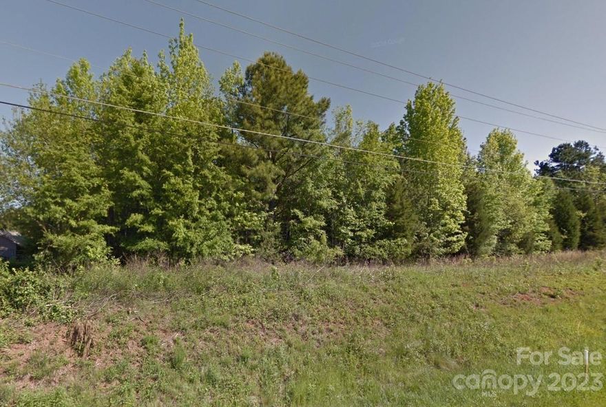 Excellent opportunity to purchase a vacant lot within minutes from Downtown Davidson. Build your dream home with Caruso Homes! This lot is close to I-77, shopping, restaurants, entertainment and all the amenities that Lake Norman has to offer. Water service is available through Charlotte Water and a septic system would need to be installed. Setback minimums are 10' front, 3' side and 20' rear. Not located within a subdivision and no HOA.
