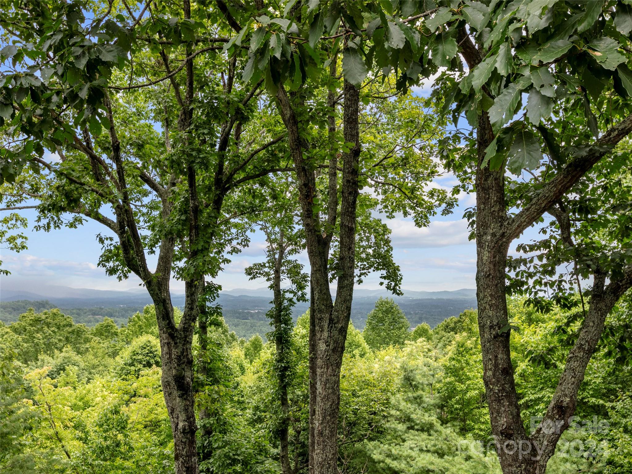 Champion Hills - Residential