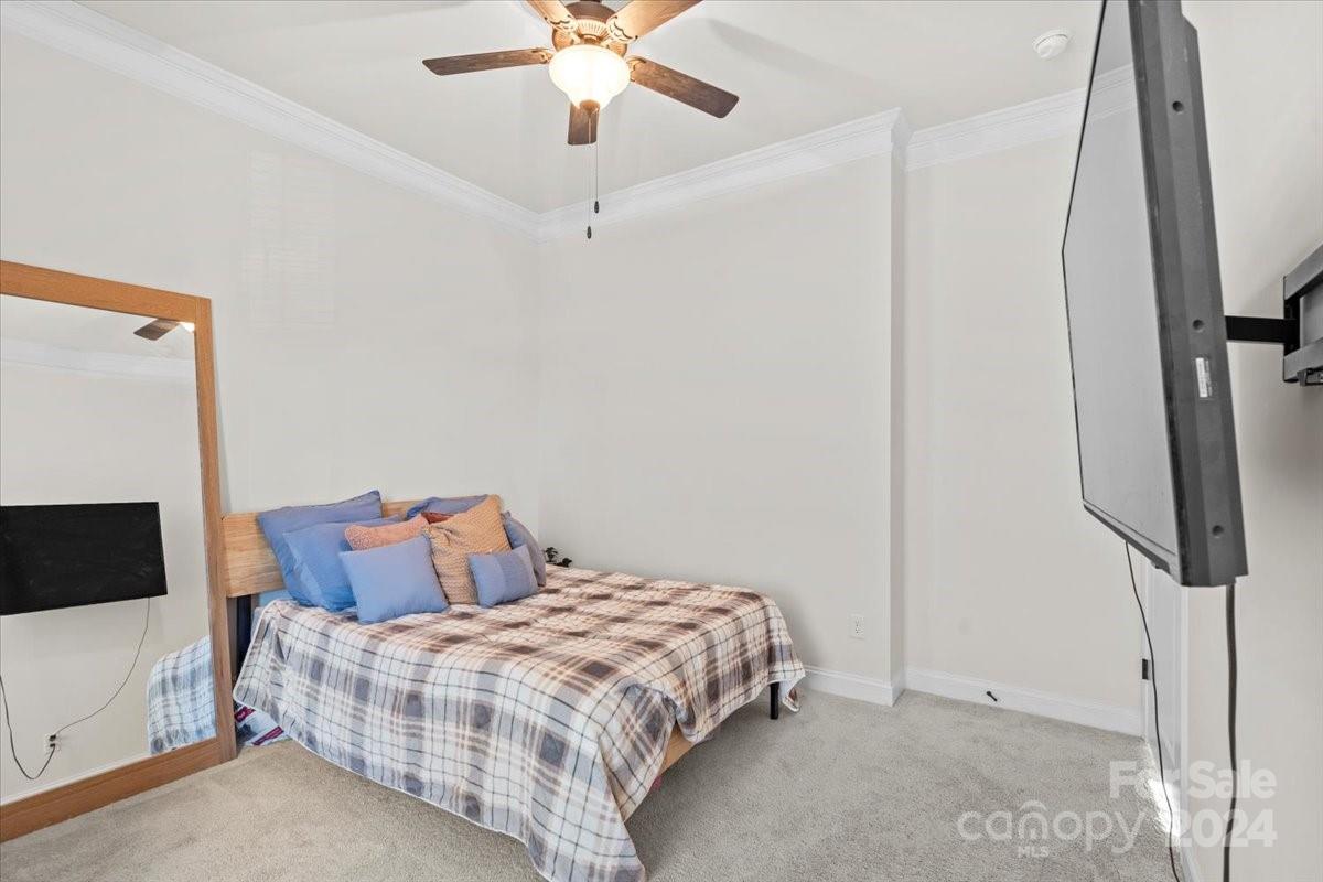 Avondale - Residential