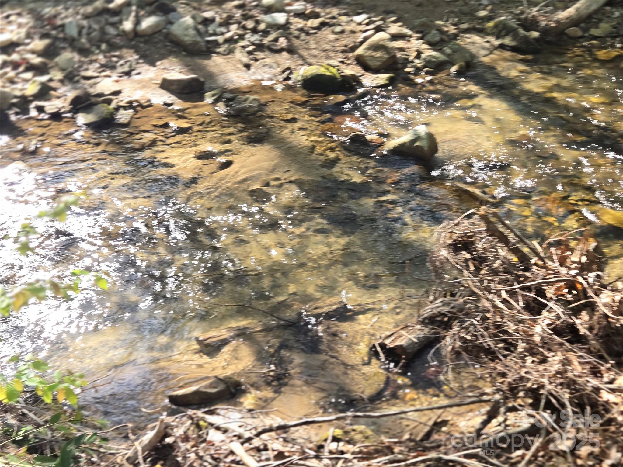 Rumbling Bald on Lake Lure - Land
