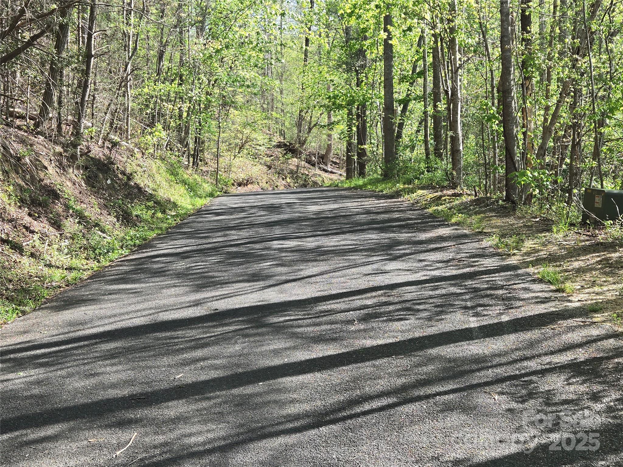 Rumbling Bald on Lake Lure - Land