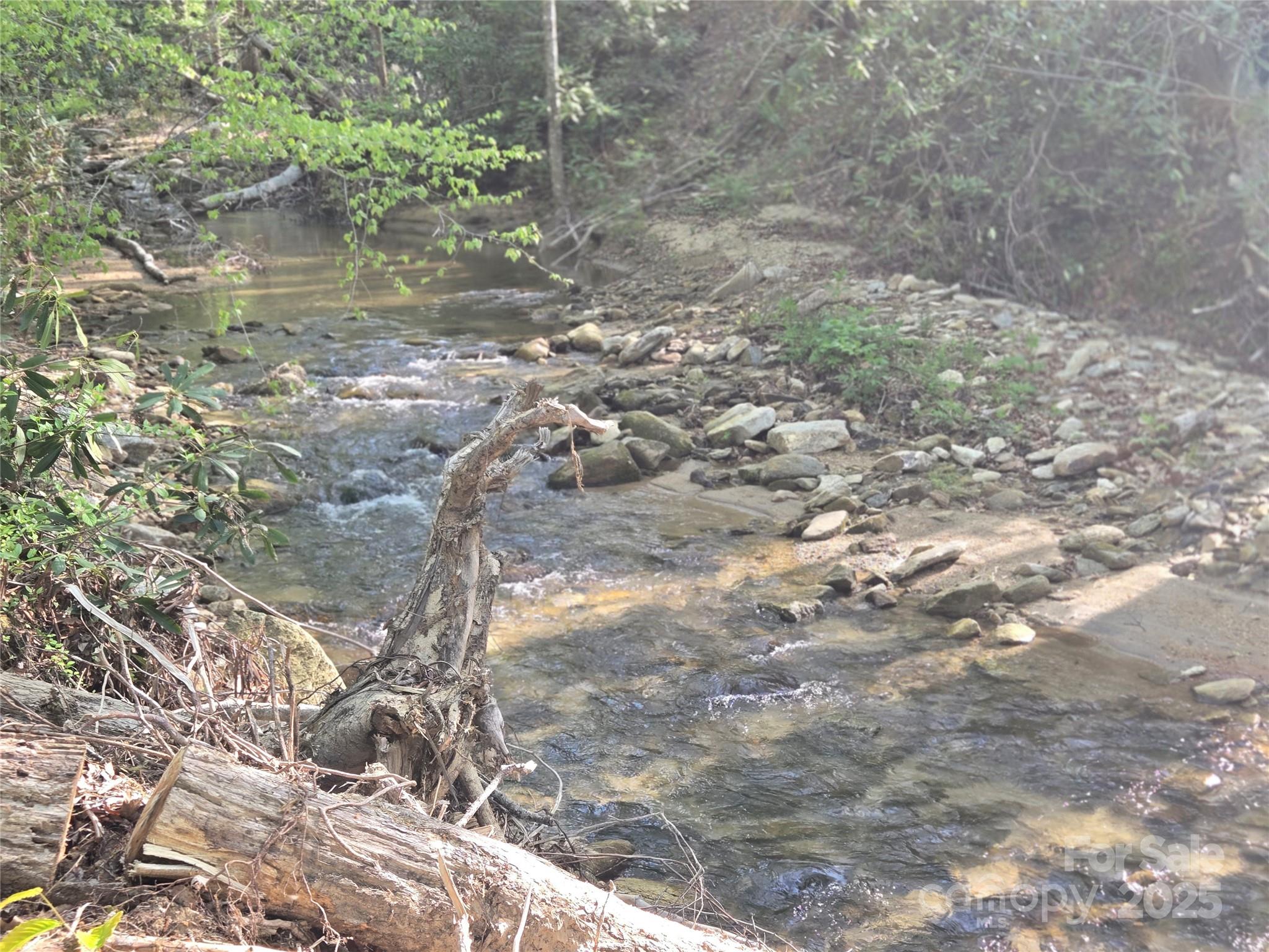 Rumbling Bald on Lake Lure - Land