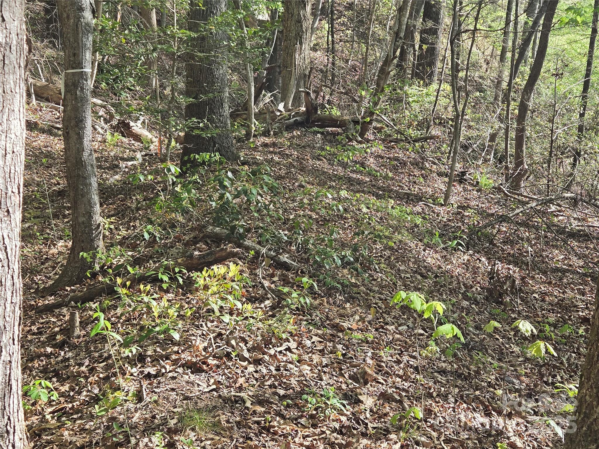 Lot 172 West Lake Drive N