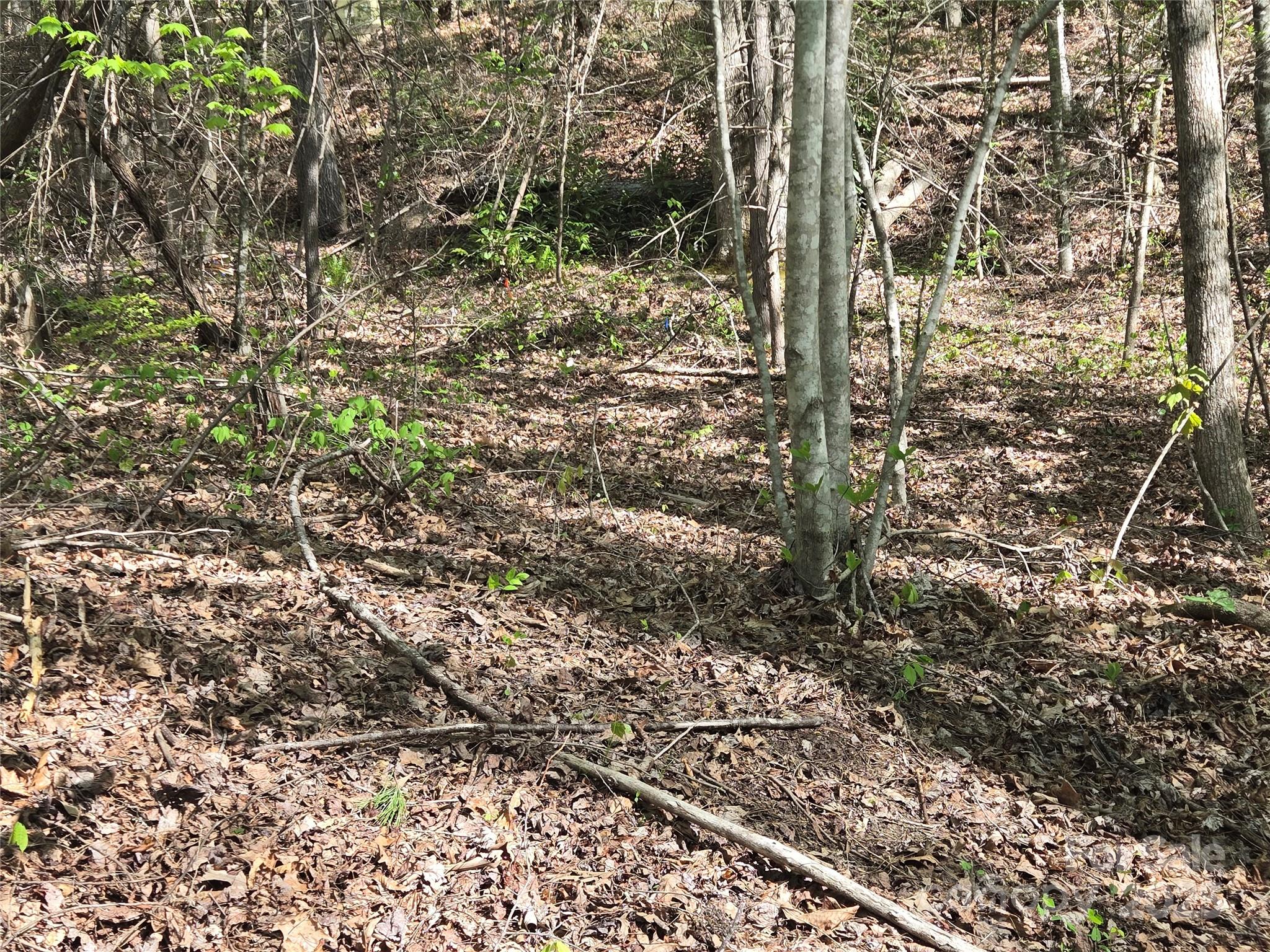 Lot 172 West Lake Drive N