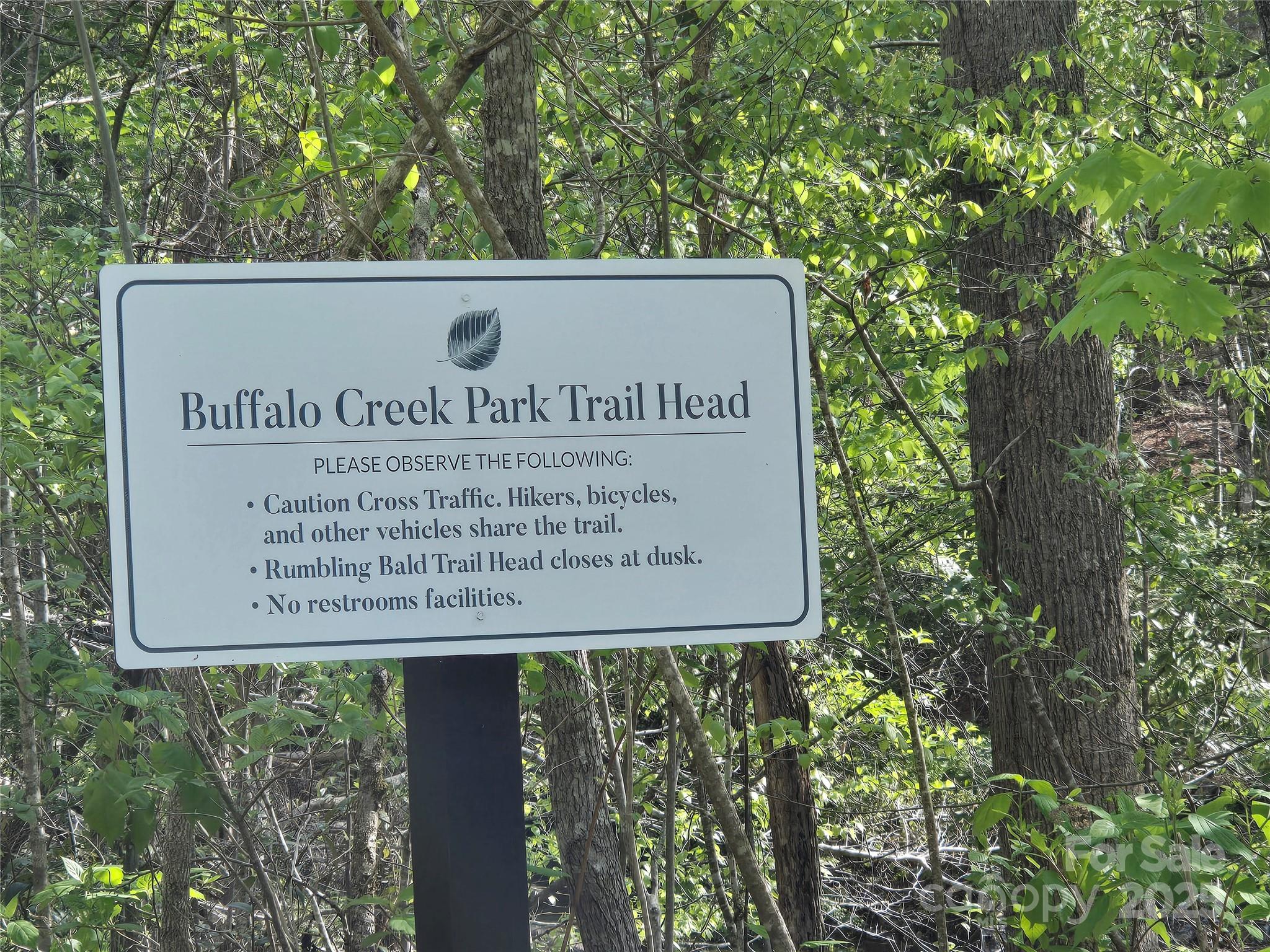 Rumbling Bald on Lake Lure - Land