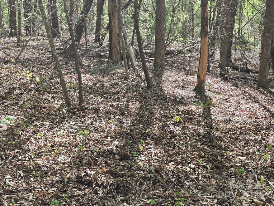 Soak in the peaceful sounds of the nearby stream and be spoiled by the direct access to Buffalo Creek Park.  Possible views of Youngs Mountain from the beautiful 1.97 +- acre lot inside the gate of Rumbling Bald on Lake Lure.  Gently sloping building site with great access off of West Lake Drive.  Underground utilities include High- Speed Fiber Optic Internet, Power, and Community water. Enjoy all the amenities Rumbling Bald has to offer including two Championship Golf Courses, three pools, Wellness Center, Spa and Salon, Beach, and much, much, more.