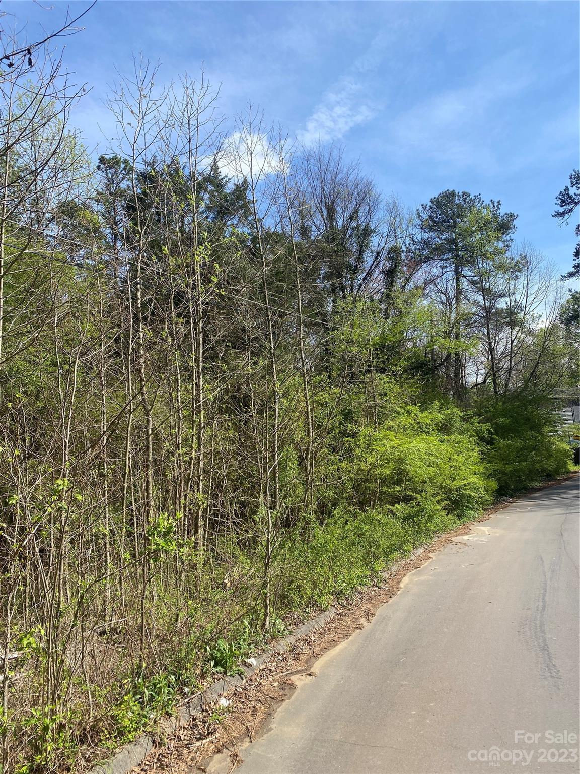 Mecklenburg Acres - Land